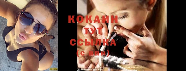 хмурый Абаза