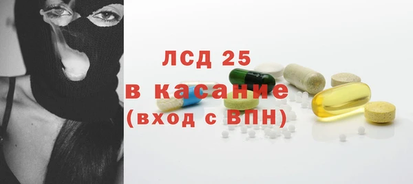 хмурый Абаза