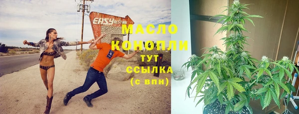 хмурый Абаза