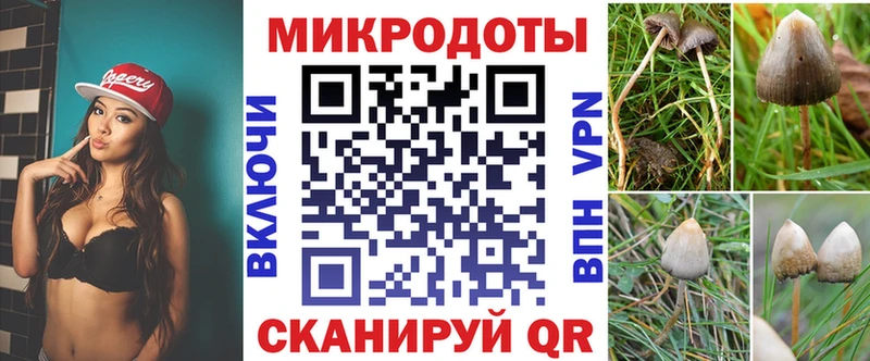 shop Telegram  Урень  Псилоцибиновые грибы Cubensis  наркошоп 